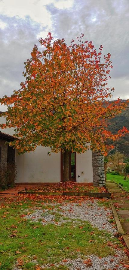 La Calma De Llanes Villa Luaran gambar